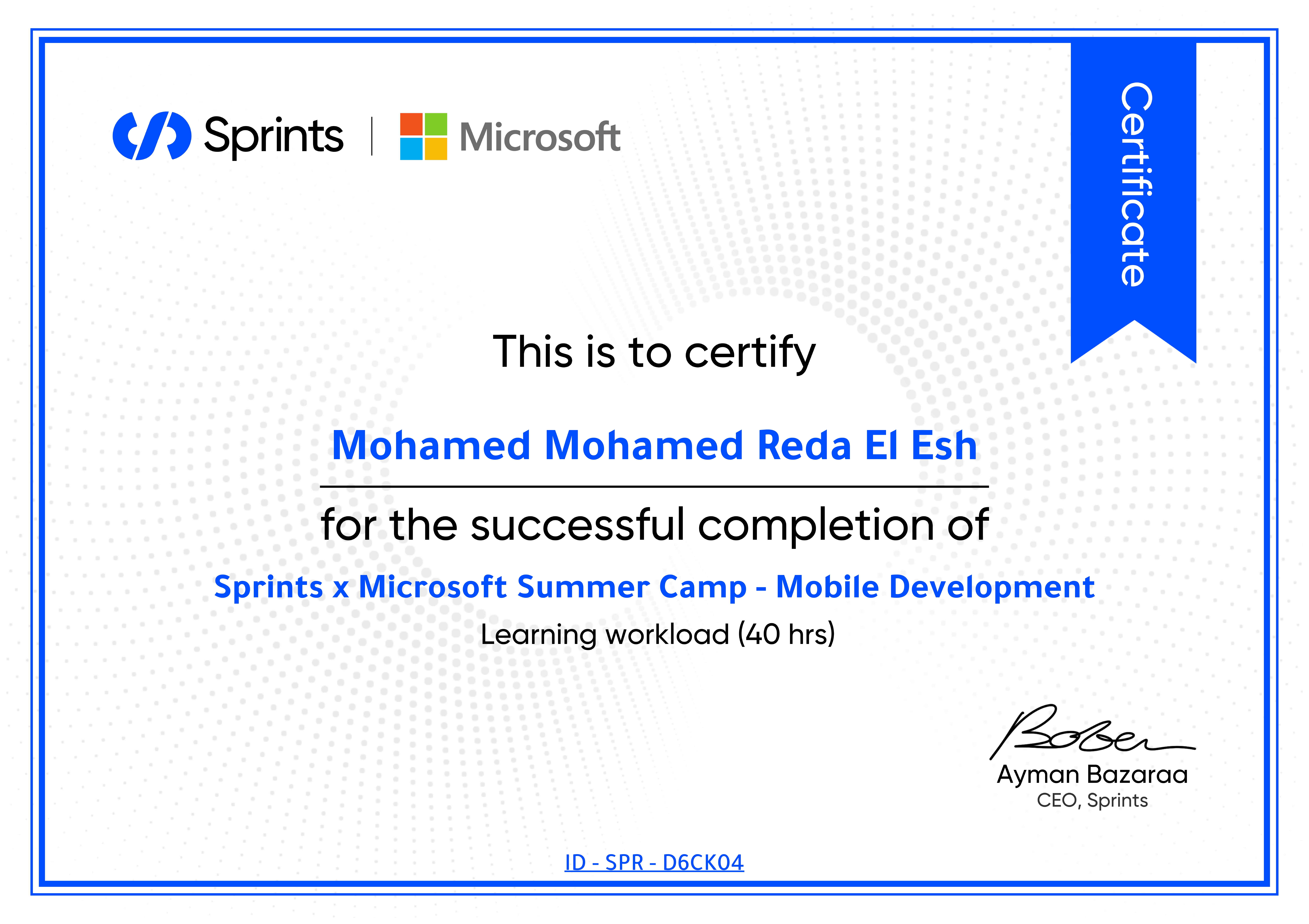 Sprints × Microsoft Summer Camp Certificate